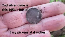 park finds 12-20-14 009.webp