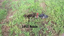 park finds 12-20-14 010.webp