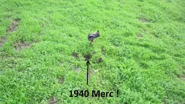 park finds 12-20-14 012.webp