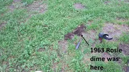park finds 12-20-14 014.webp