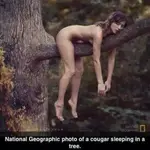 ImageUploadedByTreasureNet.com1420309312.903545.webp