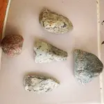 ImageUploadedByTreasureNet.com1420977668.201810.webp