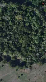image-4280823738.webp
