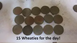 park finds 12-20-14 017.webp