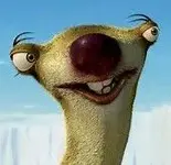 sloth.webp