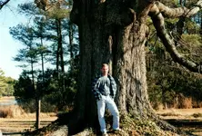 huge oak tree.webp