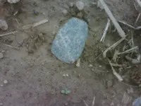 !cid__IMG01089-20110416-1630.webp