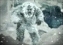 Yeti.webp