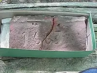 1663brick2.webp