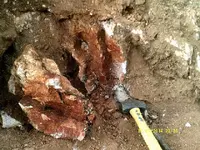 DSCF0653.webp