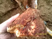DSCF0655.webp
