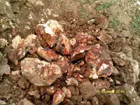 DSCF0659.webp