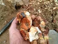DSCF0661.webp