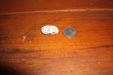 GEDC0774.webp