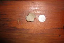 GEDC0782.webp