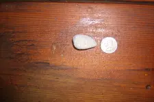 GEDC0783.webp