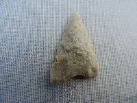 DSCN0171.webp