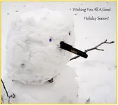 pro pointer snowman.webp pro pointer snowman.webp