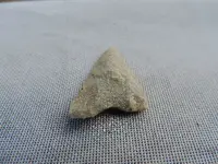 DSCN0172.webp