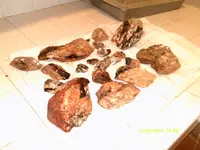 DSCF0536.webp