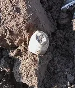 DSCN1453.webp