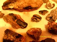 DSCF0537.webp