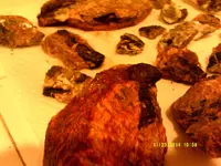 DSCF0538.webp