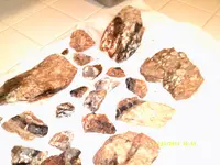 DSCF0541.webp