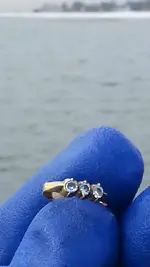 ring25.webp