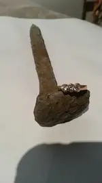 ring26.webp