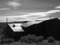 bodie.webp