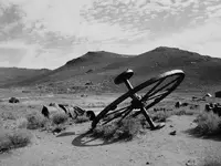 bodie 2.webp