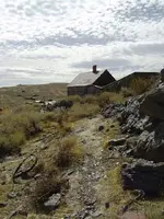 bodie 5.webp