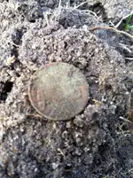 ImageUploadedByTreasureNet.com1419188178.094122.webp