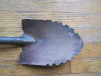 DSCN1504.webp