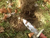 In the Hole - Small.webp