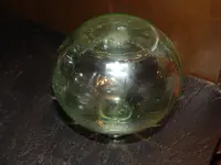 DSCN8390.webp
