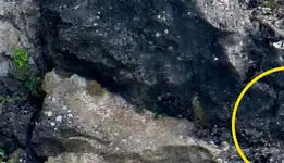 IMG_4287crop4.webp