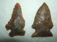 DSCF3744.webp