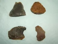 DSCF3745.webp