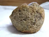 DSCF3754.webp