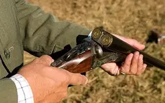 shotgun_1660631a.webp shotgun_1660631a.webp