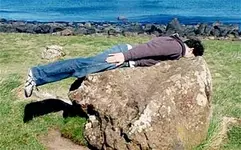 plank_1896293c.webp