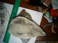 DSCN1617.webp