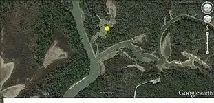 unnamed (68).webp