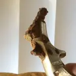 Gun2.webp