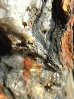 ImageUploadedByTreasureNet.com1418499826.168369.webp