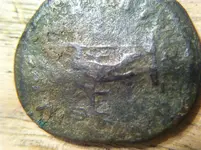 image-6.webp