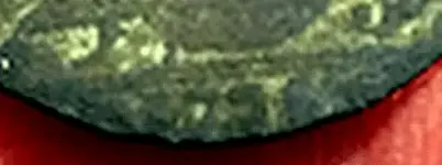 vino 1771.webp