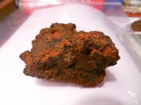 DSCN7465.webp